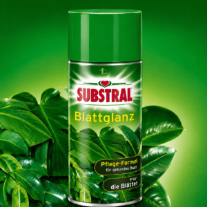 substrall leaf gloss